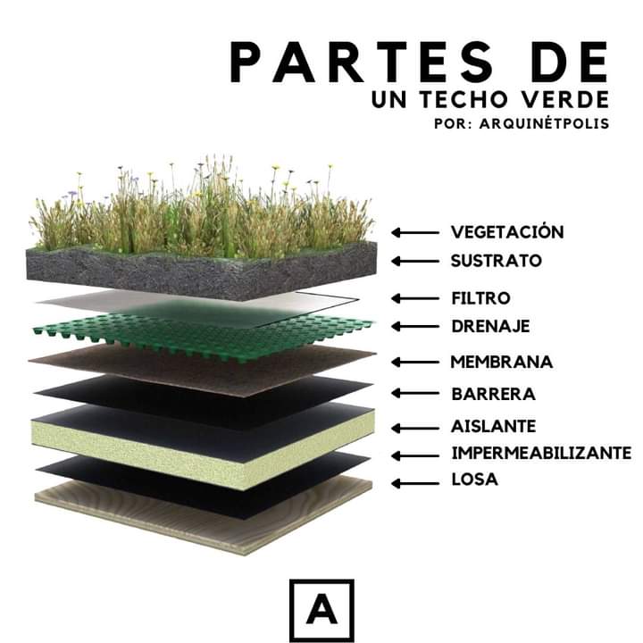 techo, verde