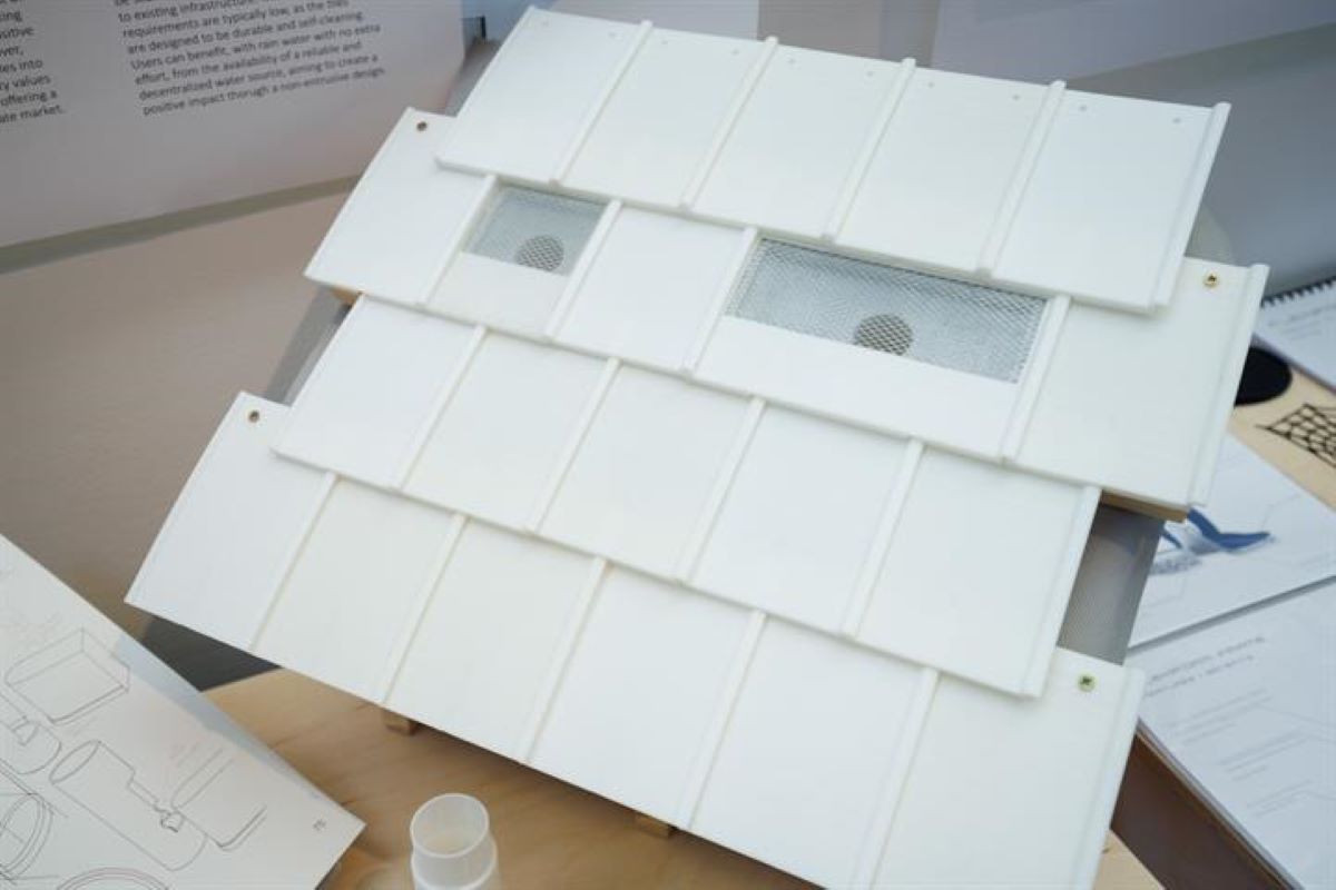 teja, recuperacion, agua, lluvia