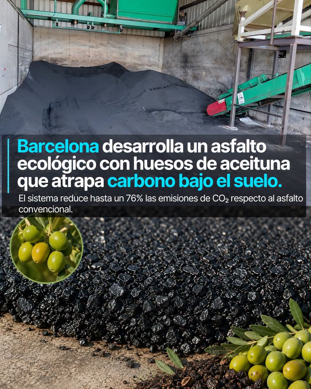 asfalto, huesos, aceituna