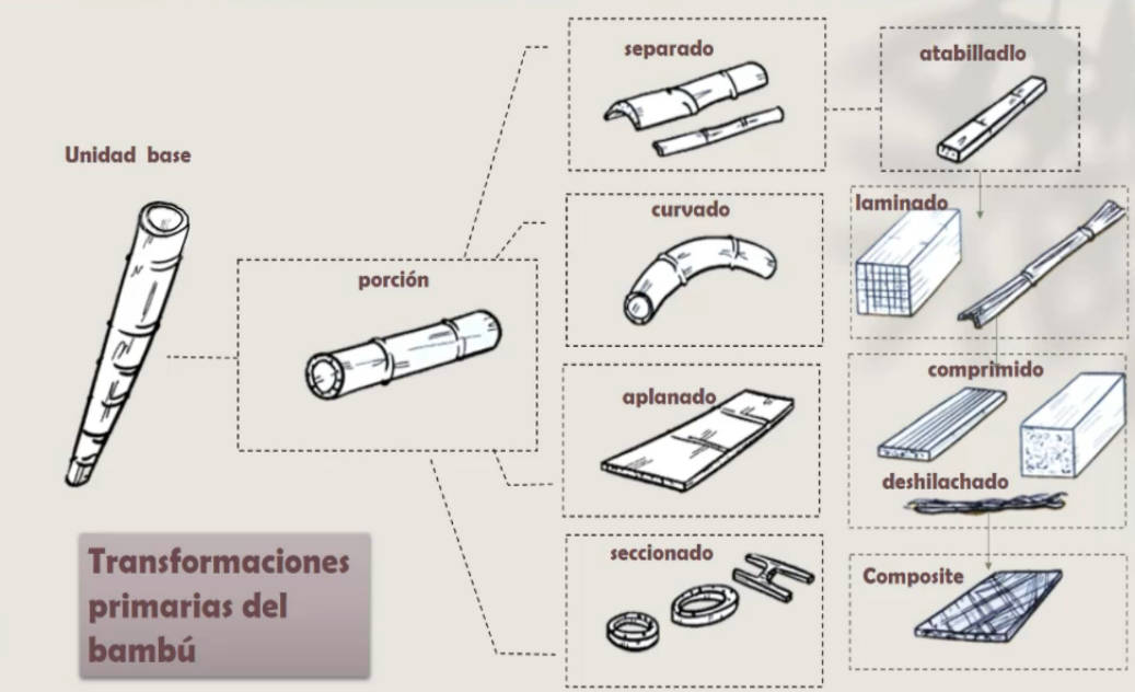 bambu, transformaciones