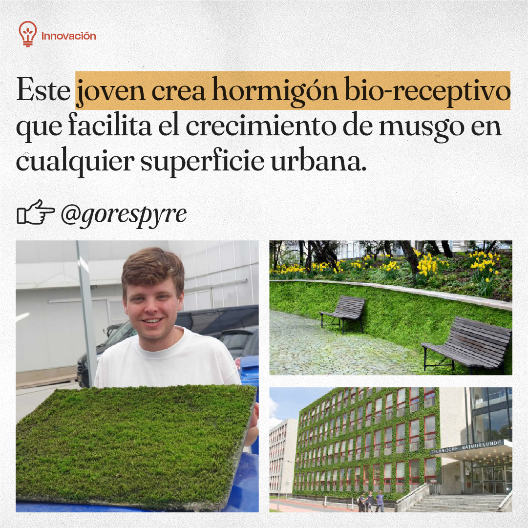hormigon, bio, receptivo