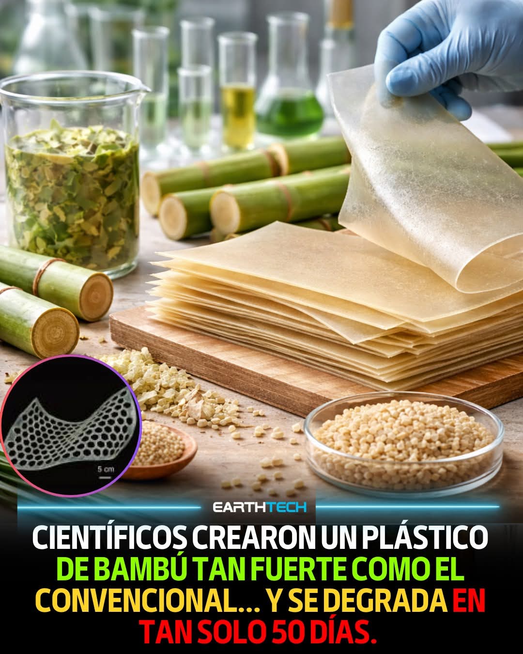 plastico, bambu