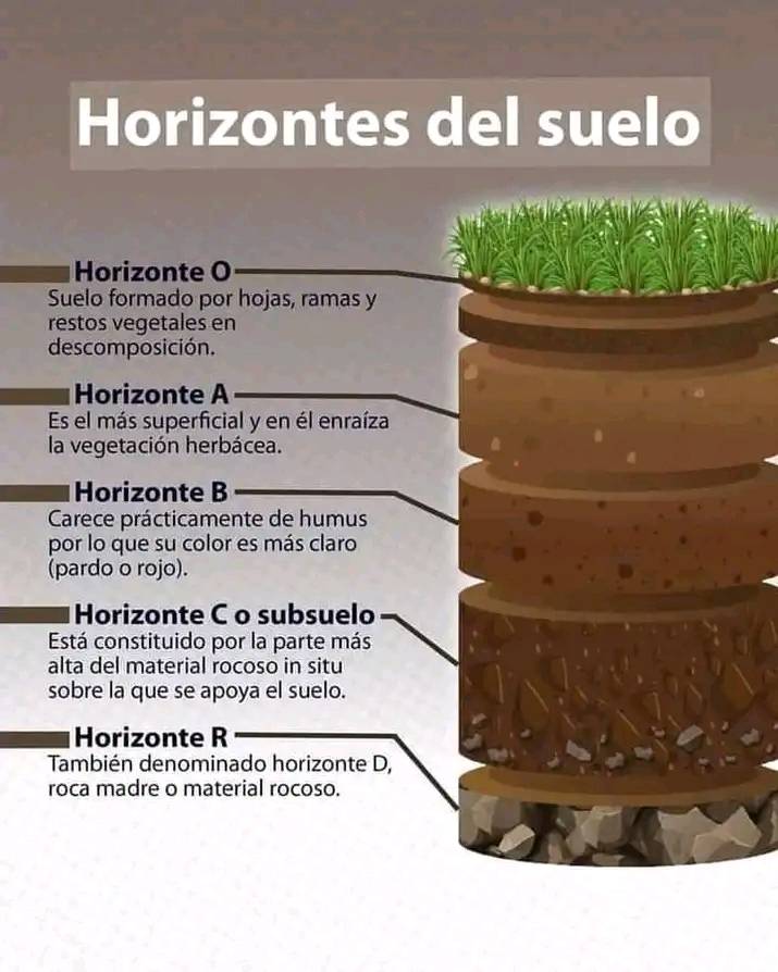 suelo, horizontes