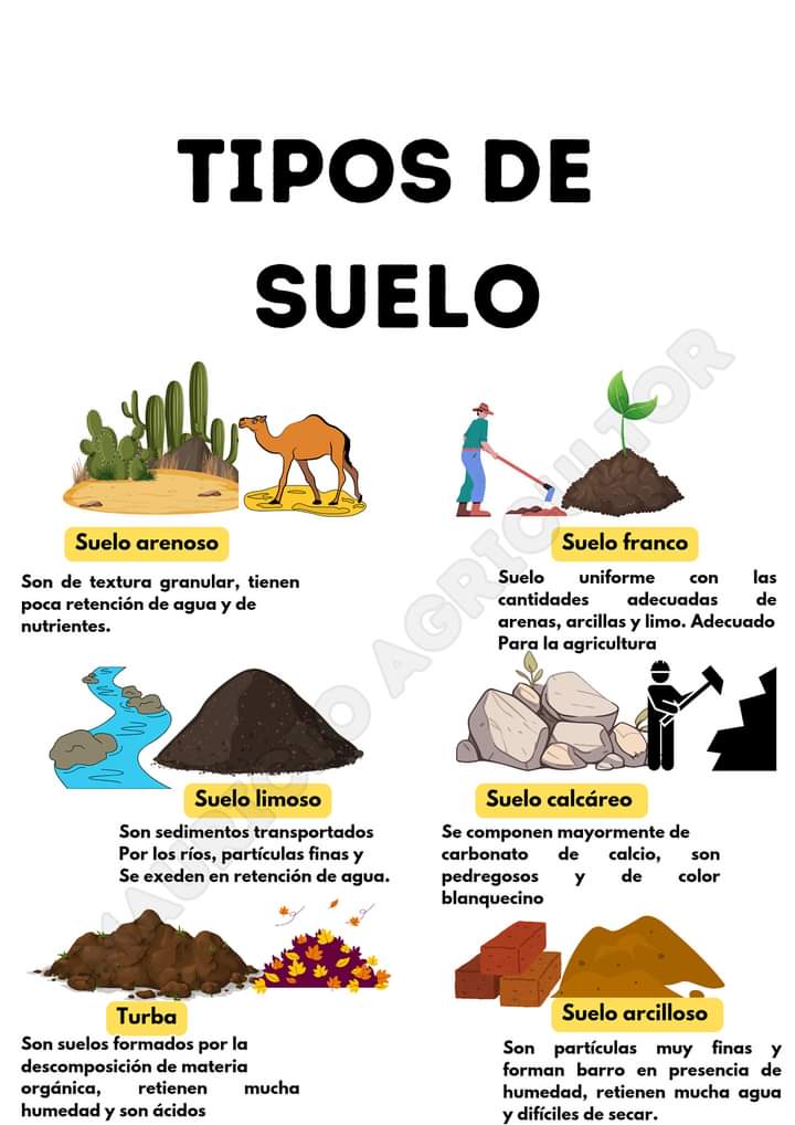 suelos, tipos