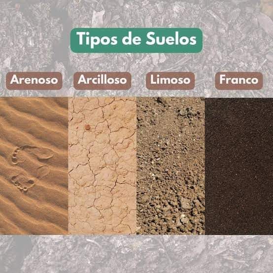 suelos, tipos
