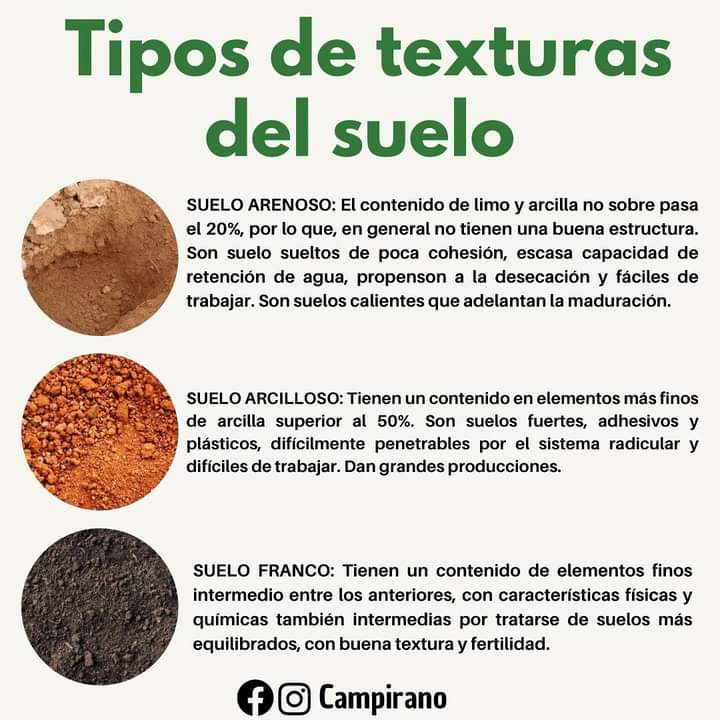 tipos, suelo