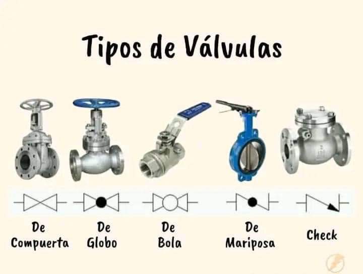 valvula, tipos