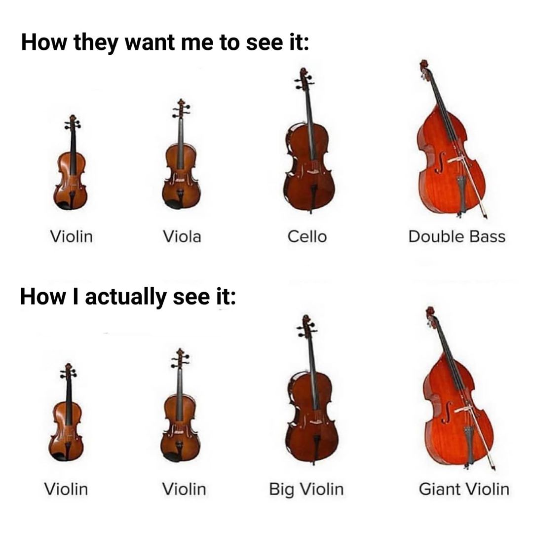 violin