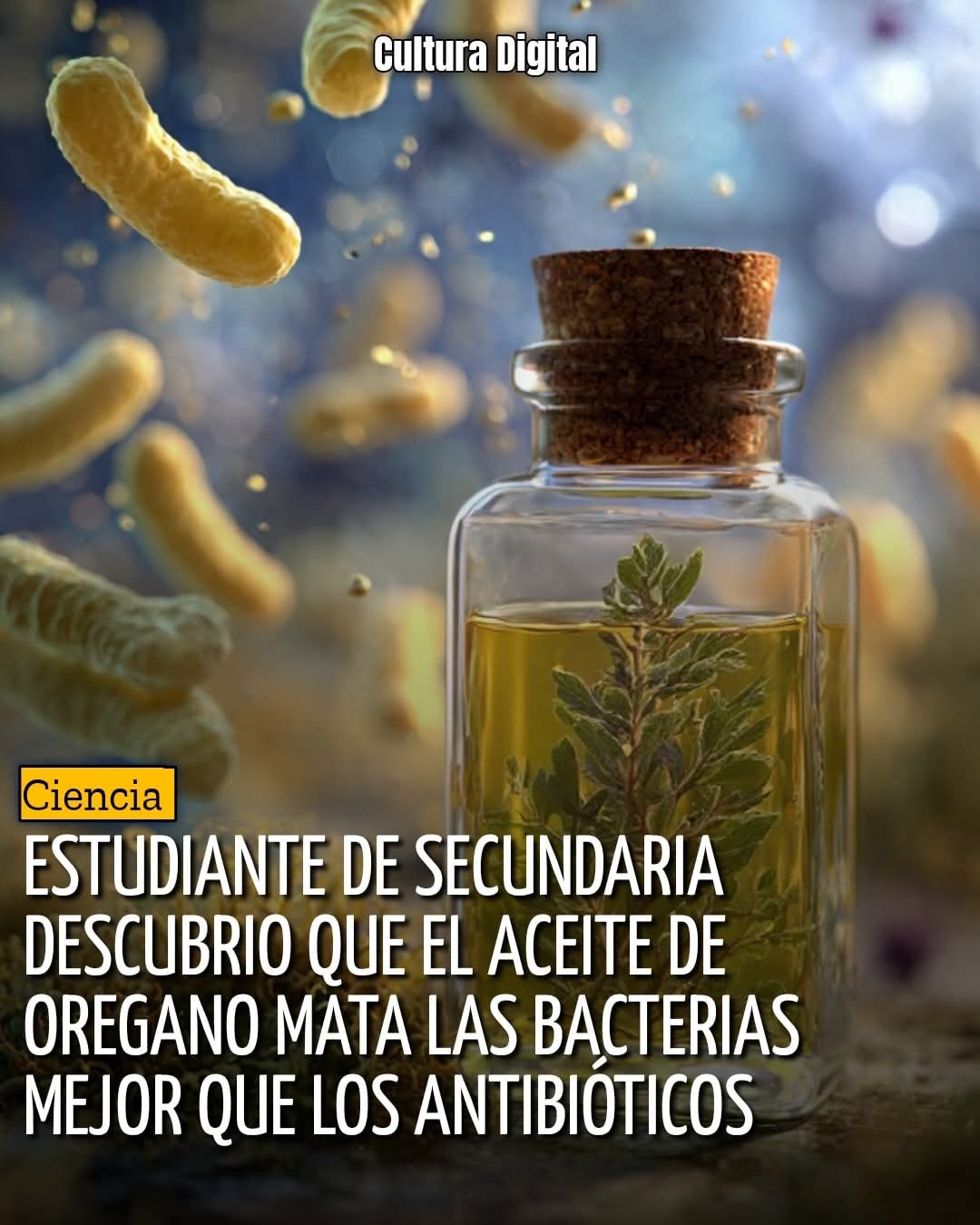 aceite, oregano, antibiotico