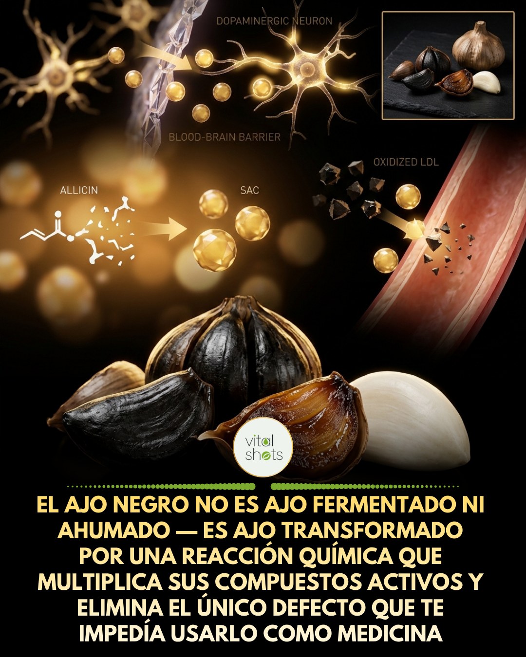 ajo, negro, reaccion, maillard