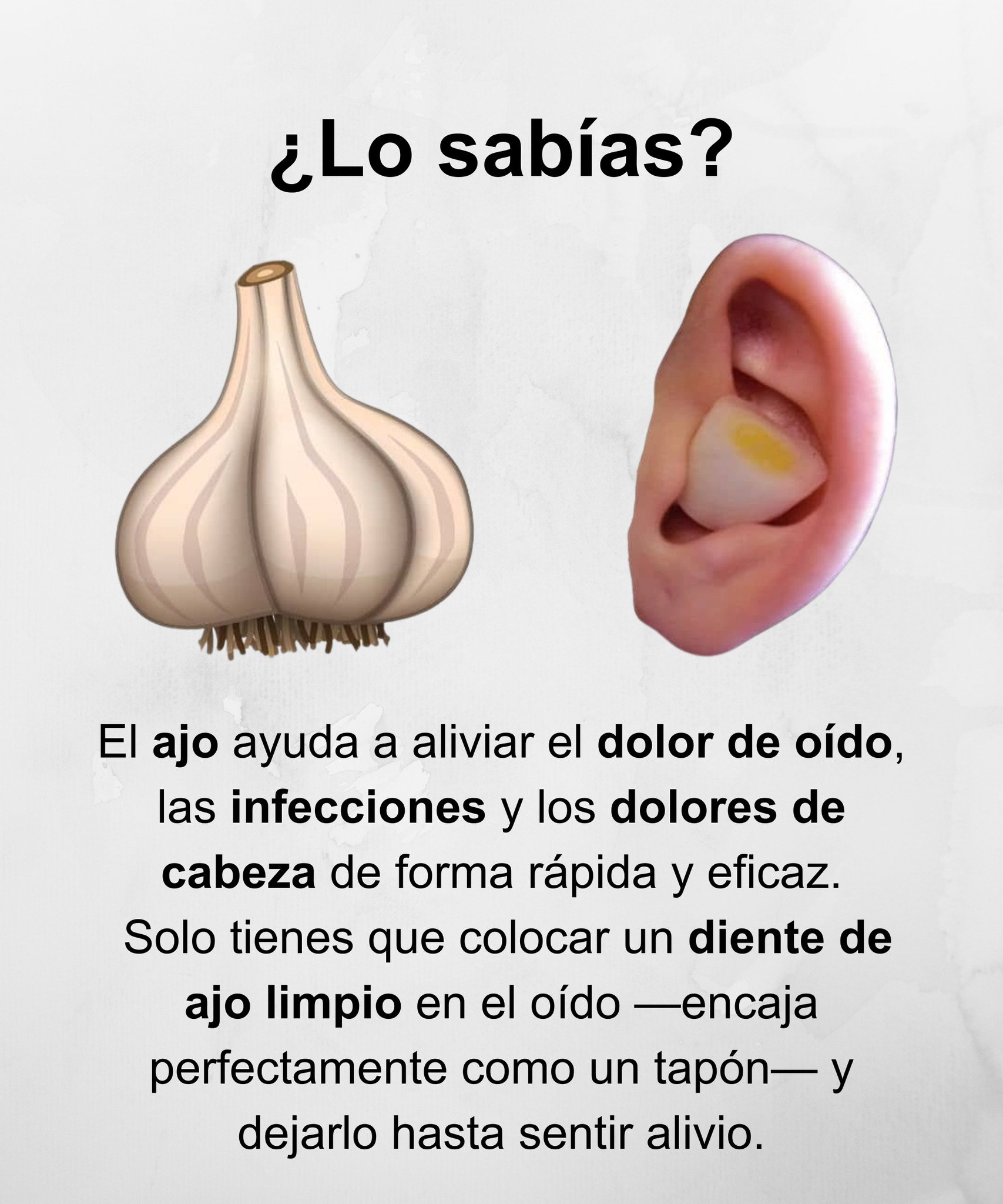 ajo, oido