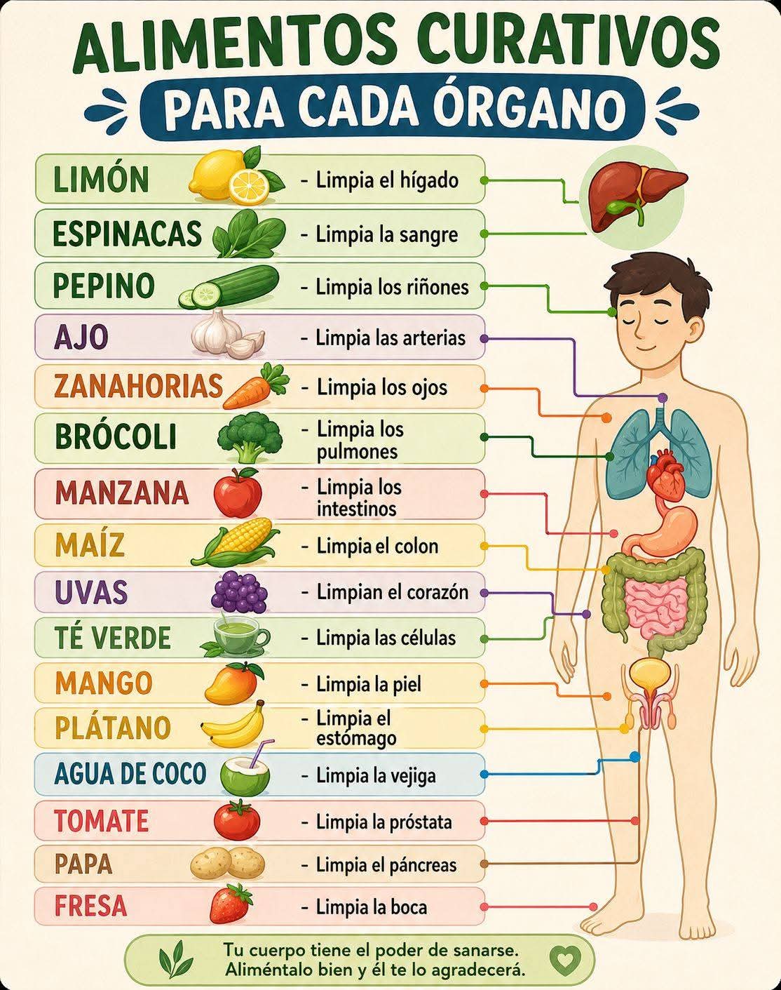 alimentos, curativos