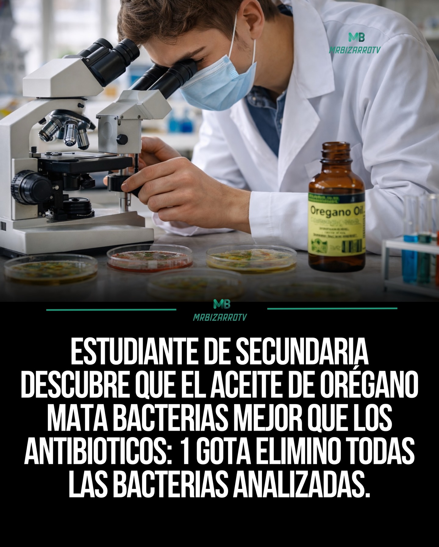 antibiotico, aceite, oregano