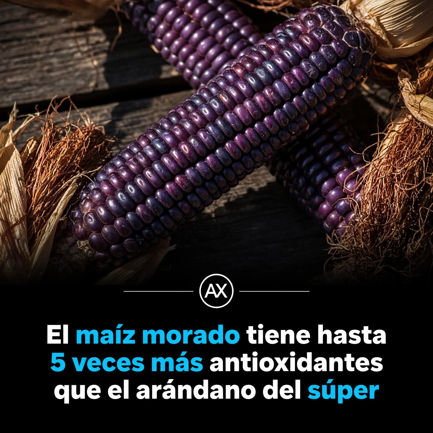 antioxidante, maiz, morado