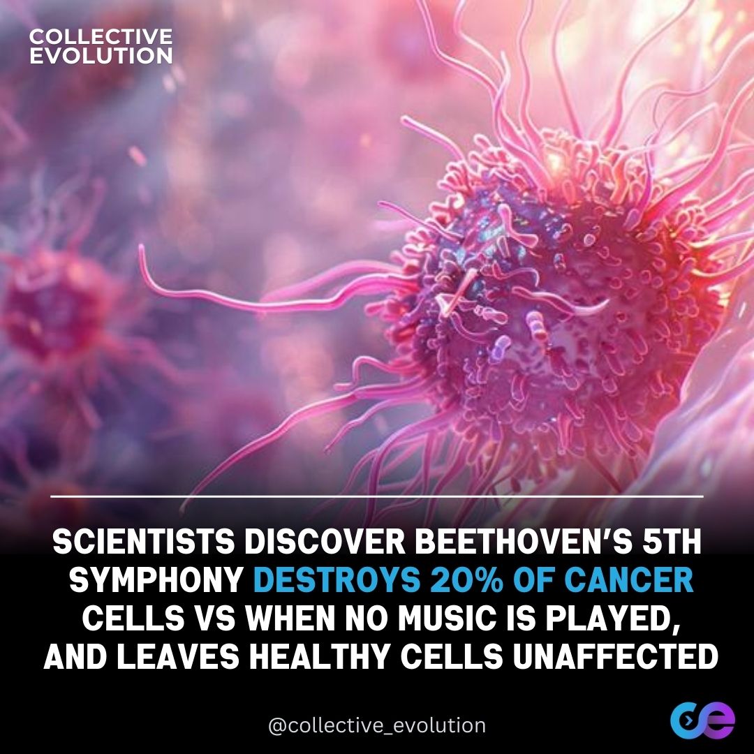 cancer, beethoven