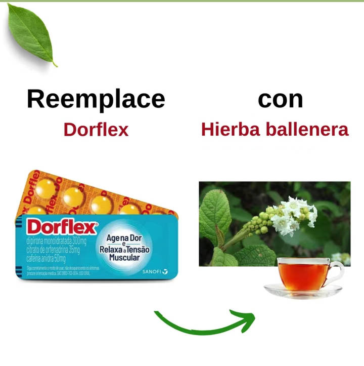 dorflex, hierba, ballenera