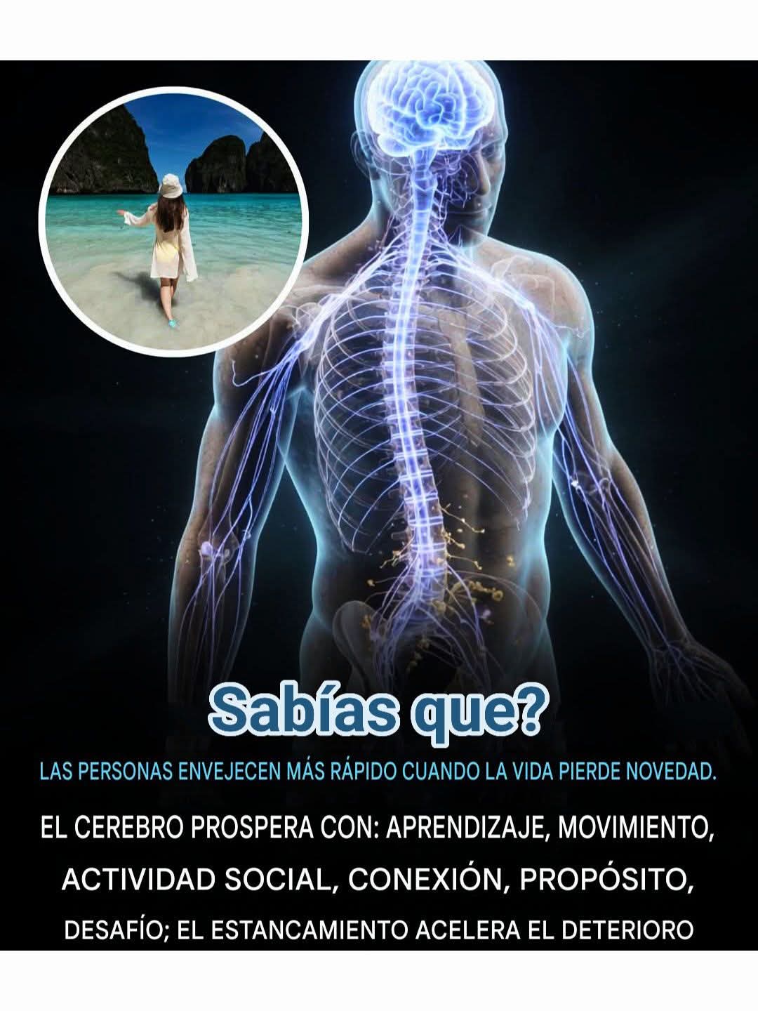 envejecimiento, estancamiento
