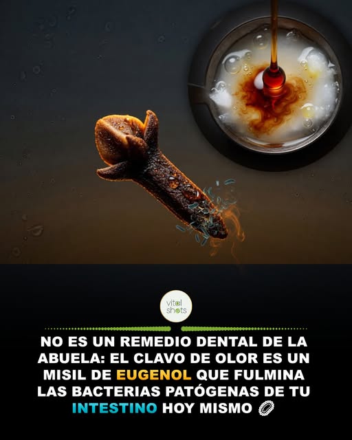 intestino, clavo