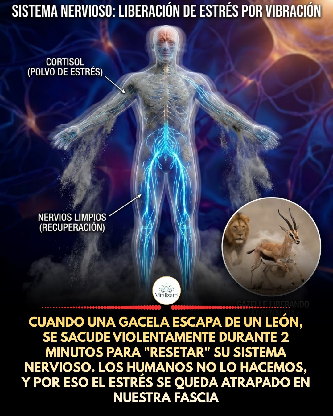 liberar, estres, vibracion