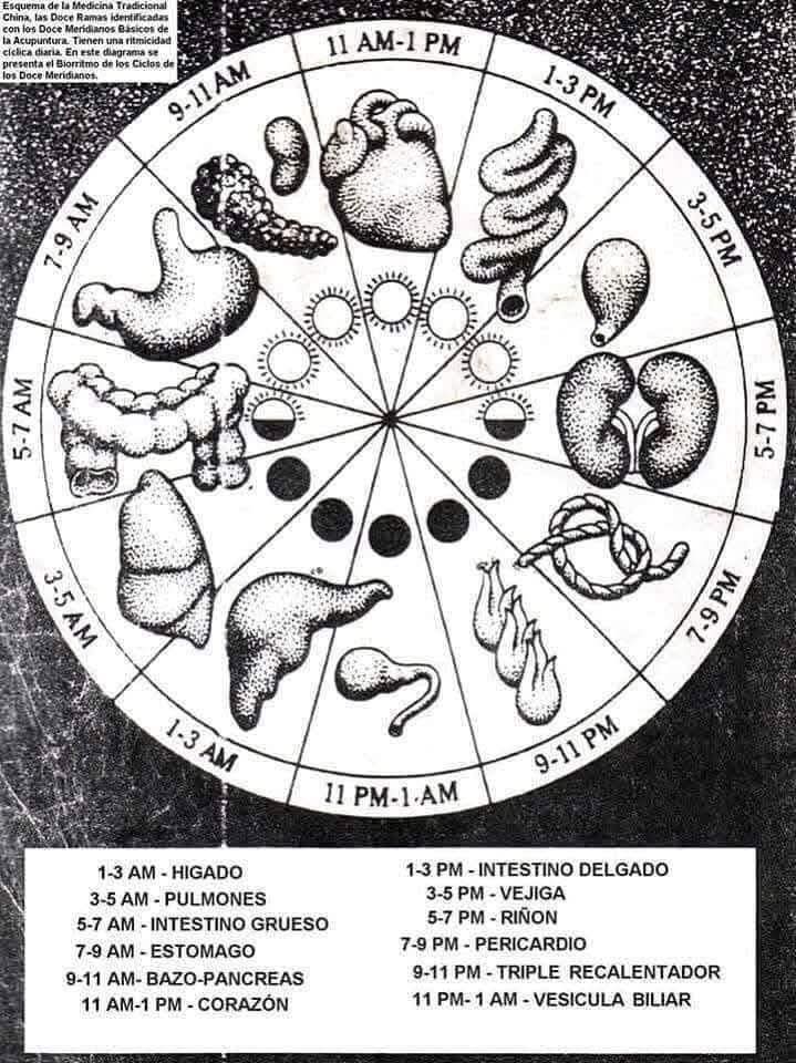 medicina, tradicional, china