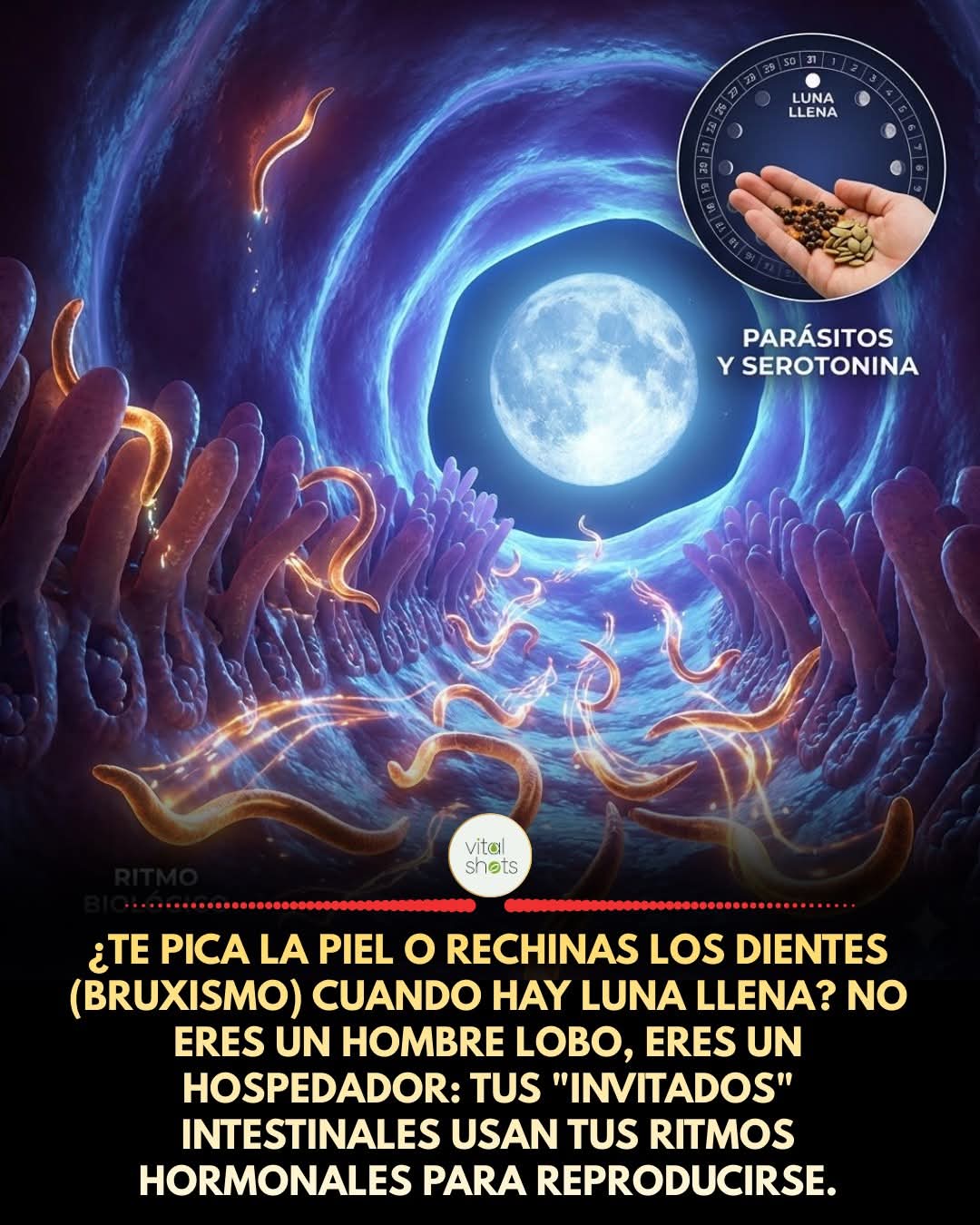 parasitos