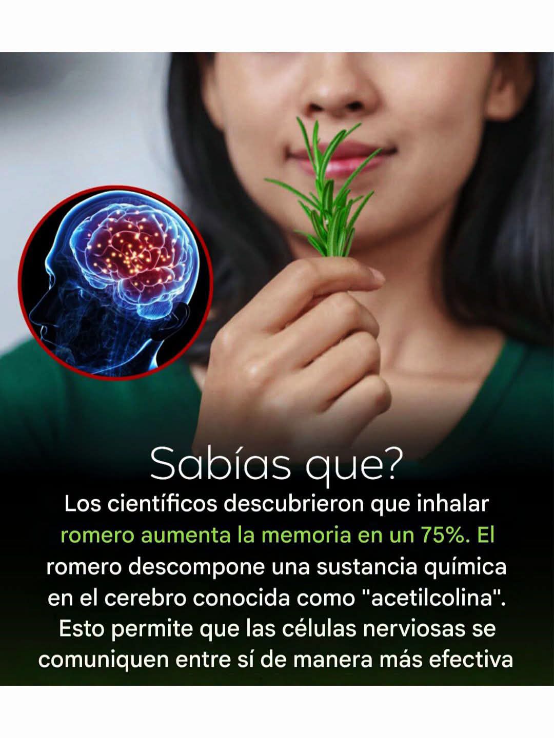 romero, memoria