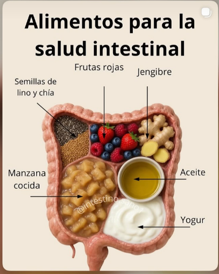 salud, intestinal
