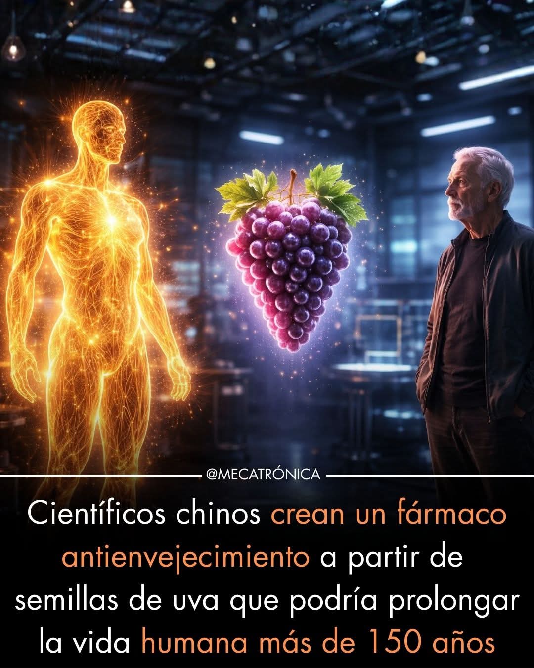 semillas, uva, antienvejecimiento