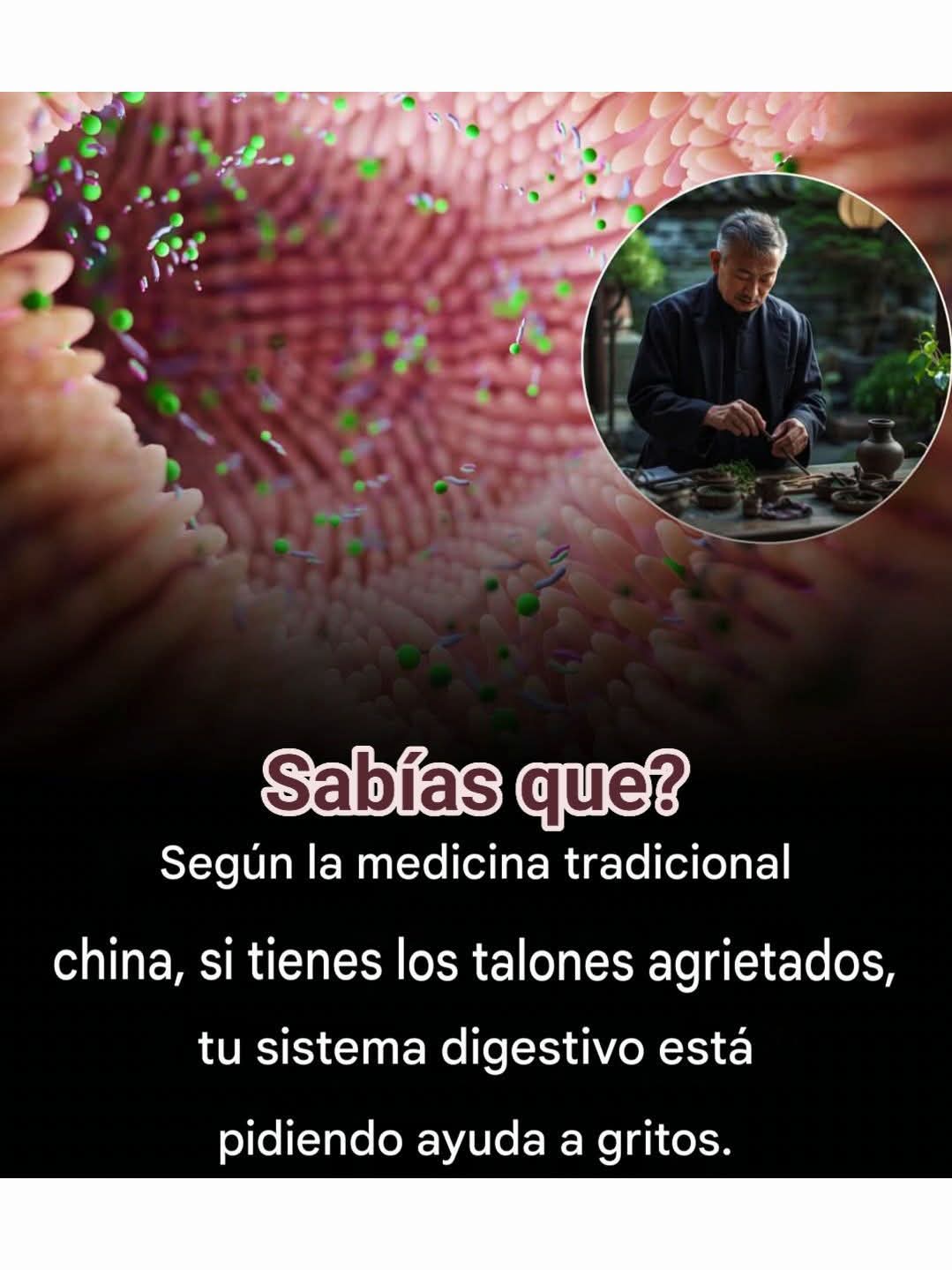 sistema, digestivo, talon, agrietado