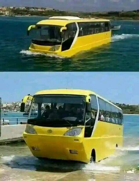 bus, barco