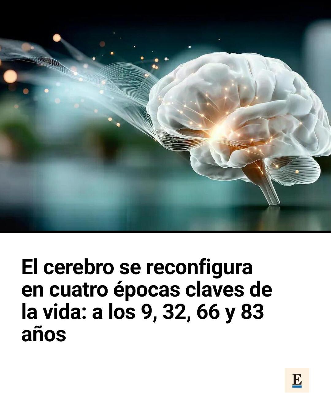 cerebro