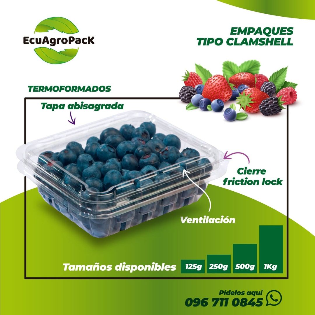 empaque, clamshell