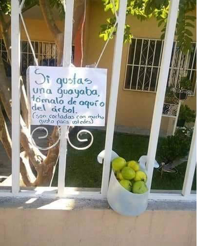 exceso, frutas