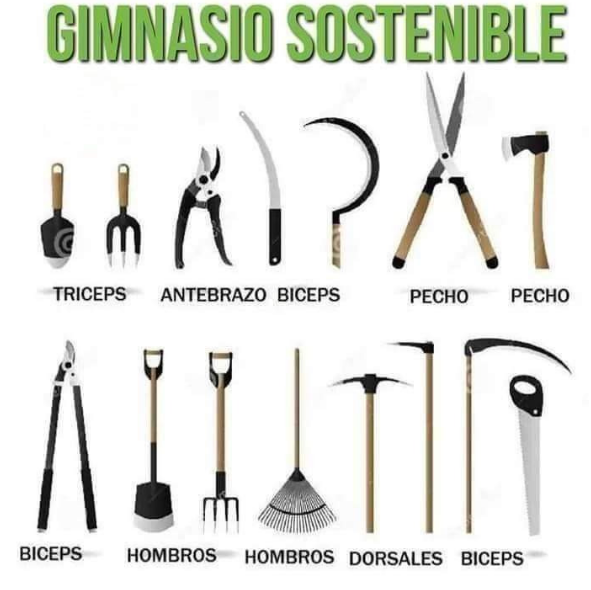 gimnasio, sostenible