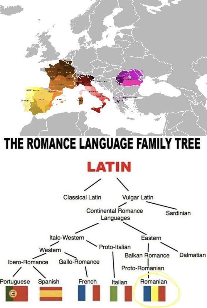 latin