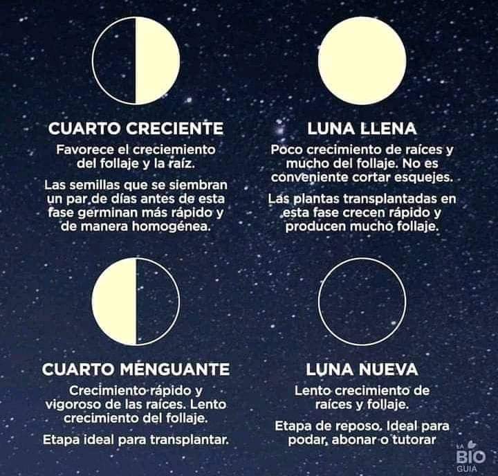 luna, fases