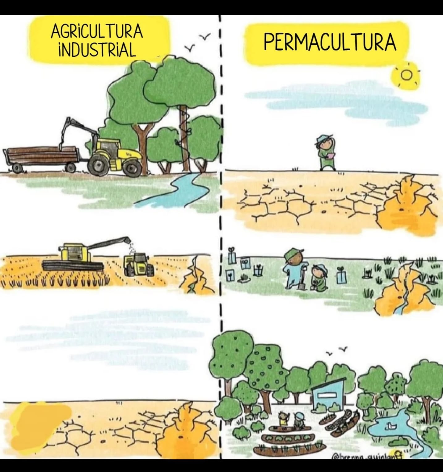 permacultura